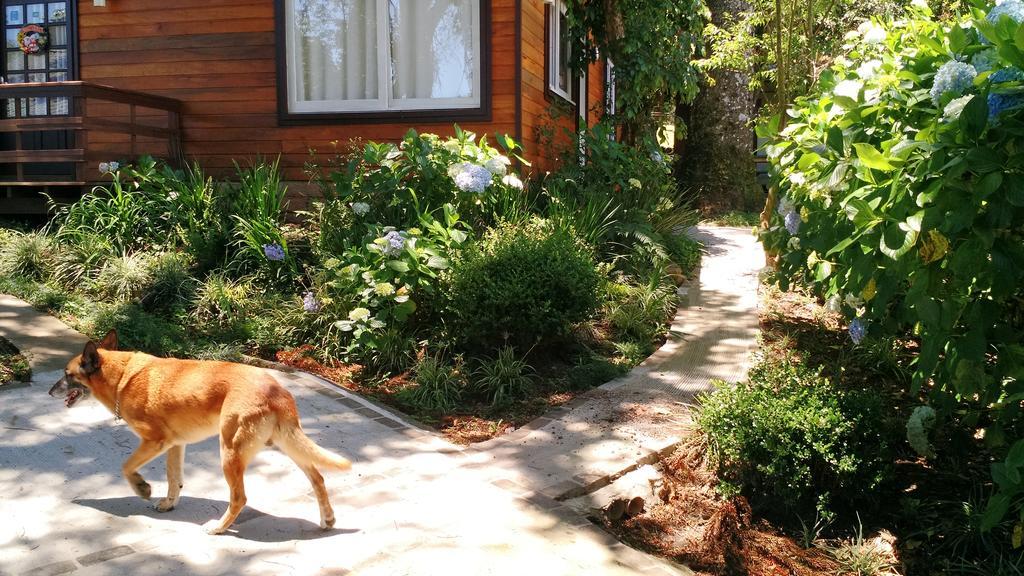 Sobrado Estilo Alemao Villa Canela Ngoại thất bức ảnh